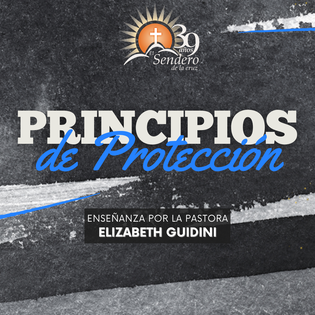 Principios de protección